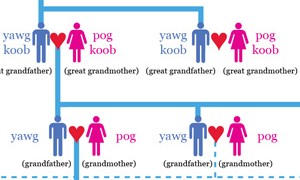 Color-coded genealogy chart showing male and female family members connected by blue lines across generations.