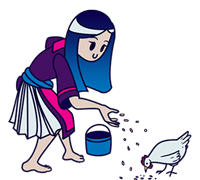 Hmong woman feeding chicken