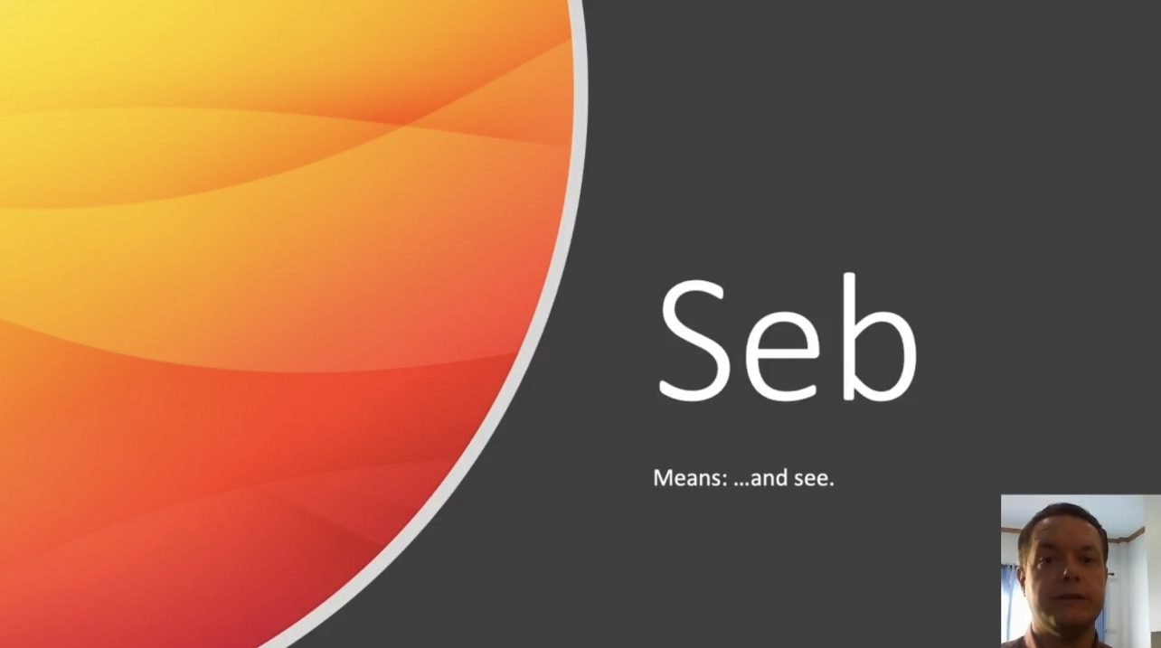 seb meaning and usage