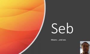 seb meaning and usage