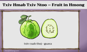 A green guava shown whole and cut in half, with seeds visible in the sliced half and the Hmong label text above and below.