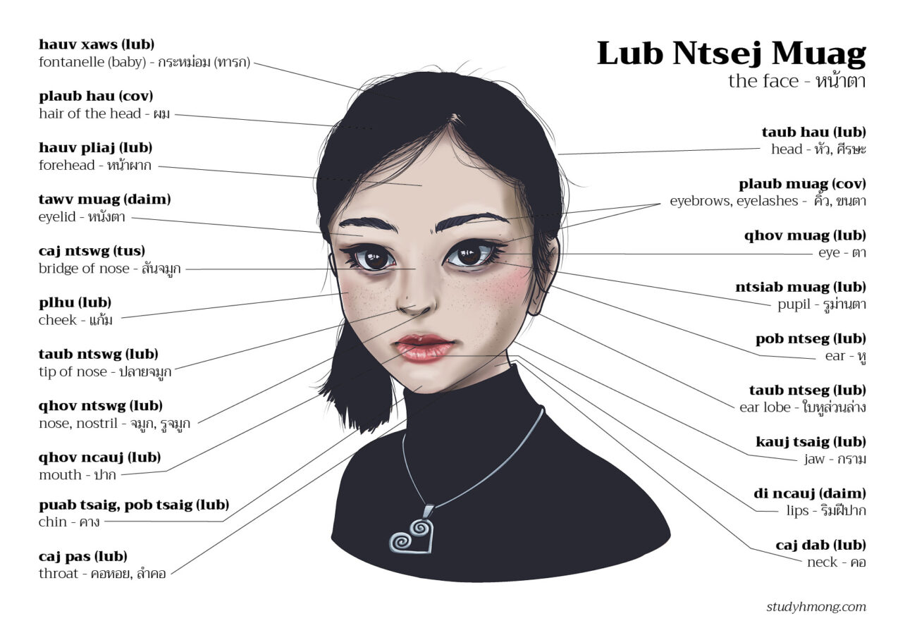 Illustrated female face with lines pointing to labeled parts of the head and face in Hmong and Thai, including eyes, nose, mouth, ears, cheeks, and neck.