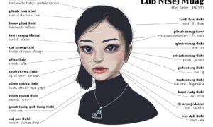 Illustrated female face with lines pointing to labeled parts of the head and face in Hmong and Thai, including eyes, nose, mouth, ears, cheeks, and neck.