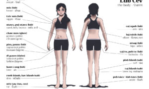 Front and back views of a woman with labels identifying body parts in Hmong, English, and Thai.