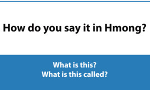 Text reading How do you say it in Hmong? with a blue section below that says What is this? and What is this called?