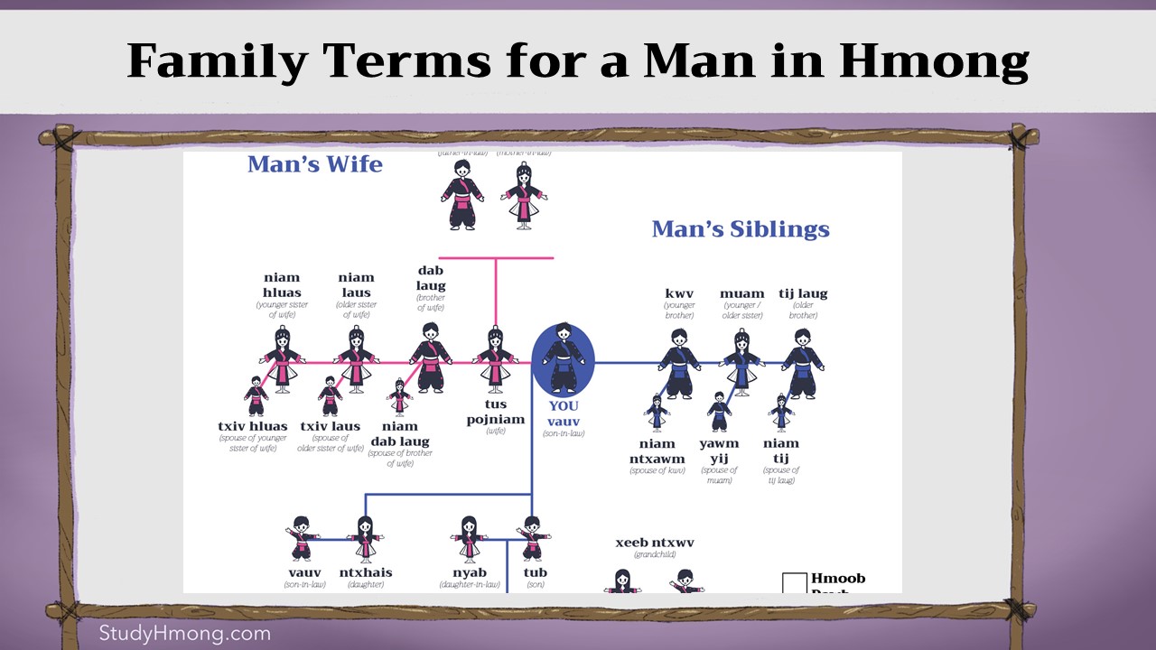 Family Terms For A Man Study Hmong family-terms-for-a-man-study-hmong