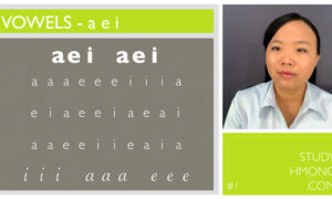 Vowel study chart with the letters a, e, and i on the left and a portrait of a woman on the right, with bright green header and footer blocks.