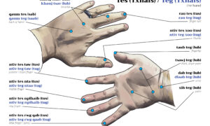 Diagram labeling parts of the hand in Hmong, with two illustrated hands and callouts for fingers, palm, wrist, knuckles, and fingernails.
