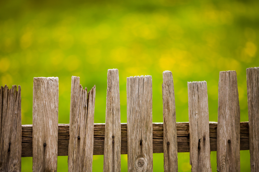 Close-up of a weathered wooden picket fence with a blurred green background.
